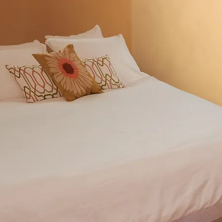 Le Saint-etienne Avec Terrasse *