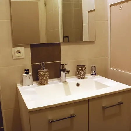 Apartment Le Saint-etienne Avec Terrasse