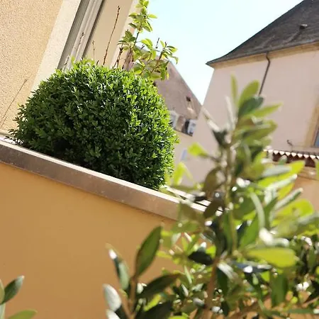Le Saint-etienne Avec Terrasse *