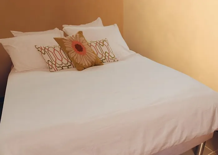 Le Saint-etienne Avec Terrasse *