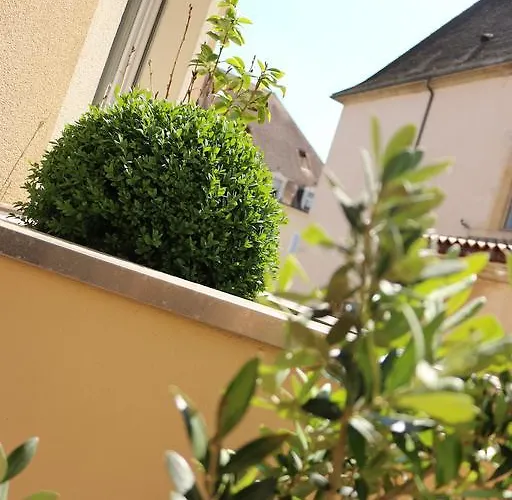 Le Saint-etienne Avec Terrasse *